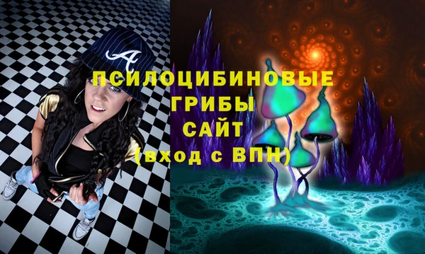 первитин Абаза
